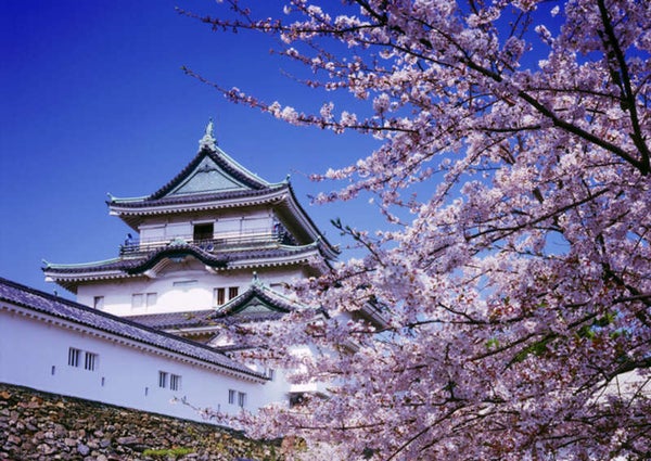 【新大阪発】 《日本城郭検定 合格者限定ツアー/初級編》加藤 理文先生同行! 豊臣秀長ゆかりのお城を巡る旅(日帰り)2